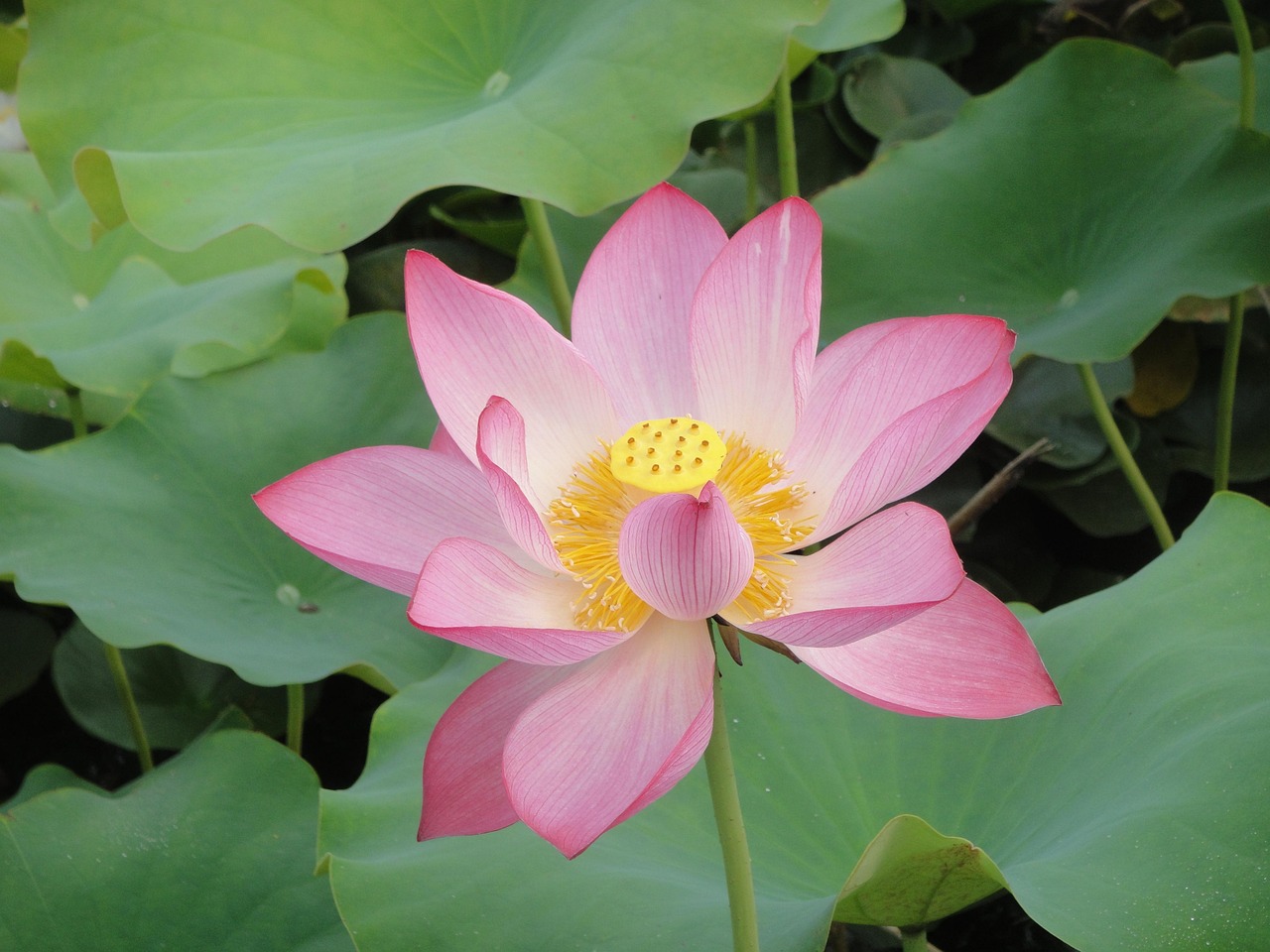 신안군 상수도 자동이체 신청 꿀팁 알아보기